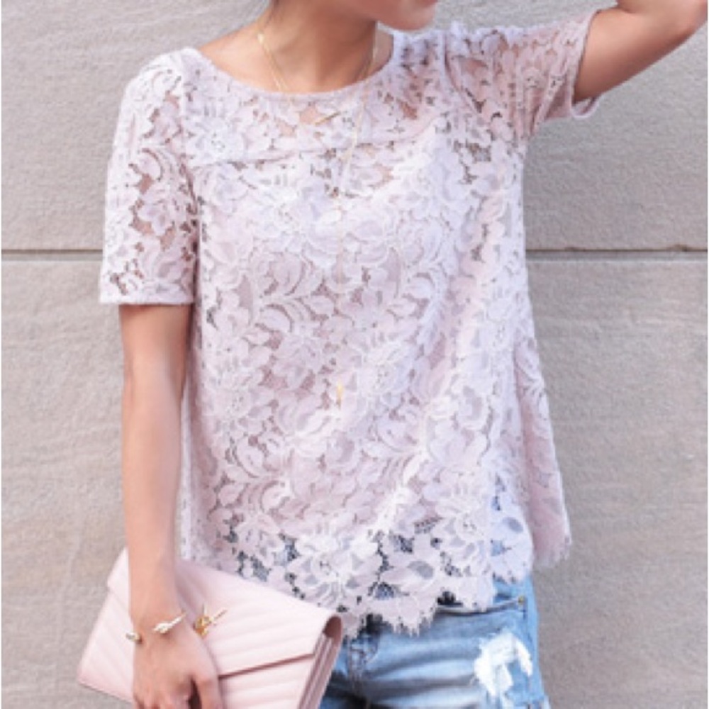 Ann Taylor LOFT Blush Pink Lace Sheer Blouse